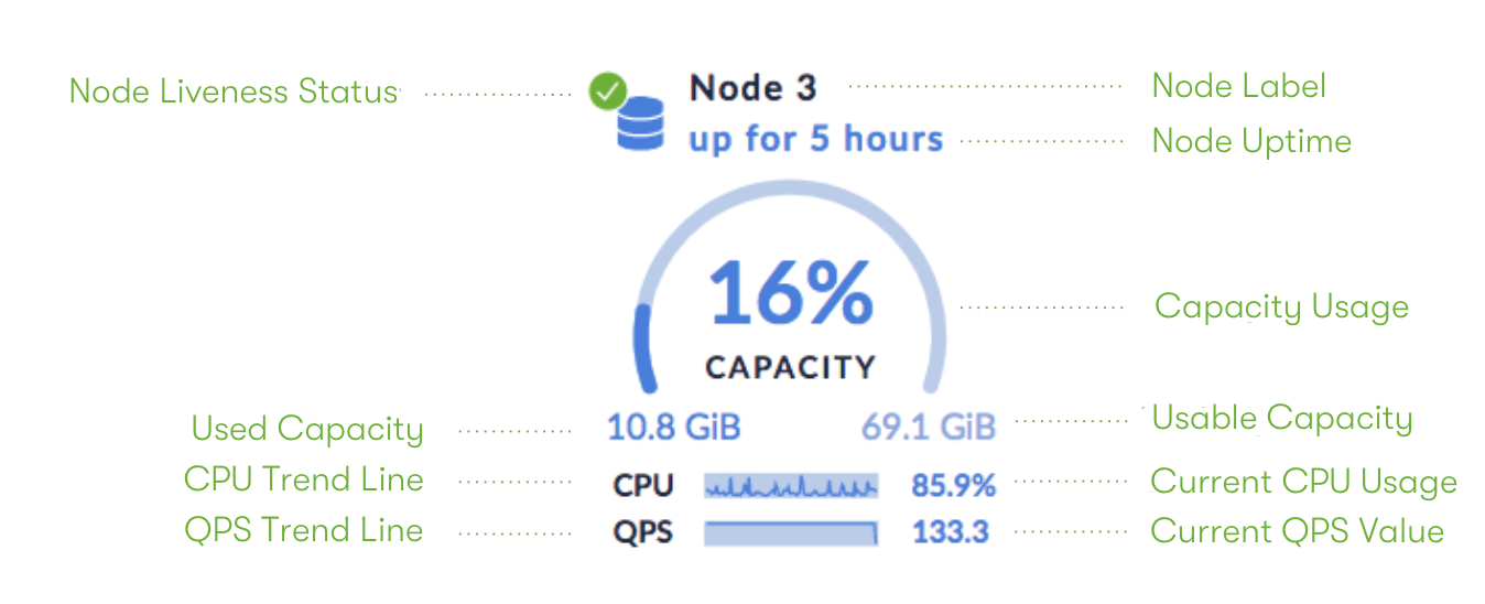 DB Console Summary Panel